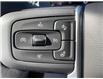 2023 GMC Sierra 1500 Elevation (Stk: P032) in Blenheim - Image 18 of 24