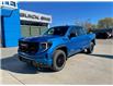 2023 GMC Sierra 1500 Elevation (Stk: P033) in Blenheim - Image 1 of 24