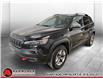 2019 Jeep Cherokee Trailhawk (Stk: 1081) in La Sarre - Image 1 of 22