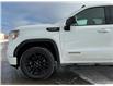 2019 GMC Sierra 1500 Elevation (Stk: 61129A) in Saskatoon - Image 12 of 20