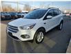 2018 Ford Escape SE (Stk: P0098A) in Hawkesbury - Image 7 of 18