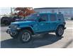 2020 Jeep Wrangler Unlimited Sahara (Stk: 46334) in Windsor - Image 4 of 17