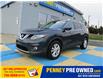 2016 Nissan Rogue SV (Stk: 42372A) in Mount Pearl - Image 1 of 16