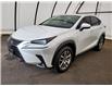 2021 Lexus NX 300h Base (Stk: 18407A) in Thunder Bay - Image 4 of 17