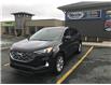 2021 Ford Edge Titanium (Stk: PA9343-220) in St. John’s - Image 2 of 24