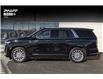 2023 Cadillac Escalade Premium Luxury (Stk: MU3243) in Woodbridge - Image 1 of 21