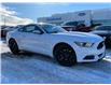 2015 Ford Mustang EcoBoost (Stk: 18281) in Calgary - Image 1 of 23