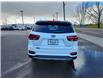 2019 Kia Sorento 2.4L EX (Stk: N146047A) in Charlottetown - Image 6 of 21