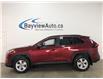 2020 Toyota RAV4 Hybrid XLE (Stk: 39684J) in Belleville - Image 1 of 29