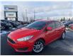 2016 Ford Focus SE in Ottawa - Image 1 of 19