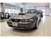 2003 Ford Mustang GT (Stk: N1346BA) in Watrous - Image 3 of 29