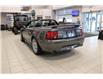 2003 Ford Mustang GT (Stk: N1346BA) in Watrous - Image 4 of 29