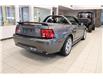 2003 Ford Mustang GT (Stk: N1346BA) in Watrous - Image 5 of 29