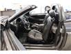 2003 Ford Mustang GT (Stk: N1346BA) in Watrous - Image 8 of 29