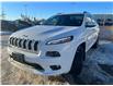 2018 Jeep Cherokee Overland (Stk: 38587A) in Edmonton - Image 3 of 31