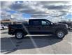 2023 Chevrolet Silverado 1500 Work Truck (Stk: 106391) in New Glasgow - Image 4 of 14