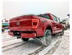 2022 Ford F-150  (Stk: 10084) in Golden - Image 4 of 23