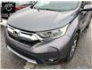 2018 Honda CR-V EX-L (Stk: 22491) in Ottawa - Image 7 of 26