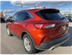 2020 Ford Escape SE (Stk: NI7874) in Cranbrook - Image 7 of 21