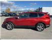 2018 Honda CR-V EX (Stk: NI1646) in Cranbrook - Image 8 of 22
