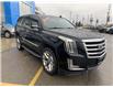 2019 Cadillac Escalade Premium Luxury (Stk: N15987) in Newmarket - Image 3 of 17