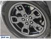 2022 Ford Bronco Sport Big Bend (Stk: XBM027) in Sarnia - Image 8 of 22