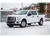 2017 Ford F-150 XLT (Stk: 30152A) in Edmonton - Image 2 of 41
