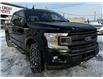 2020 Ford F-150 XLT (Stk: MP280) in Saskatoon - Image 8 of 20
