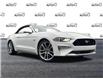 2022 Ford Mustang GT Premium (Stk: ME534) in Waterloo - Image 1 of 21