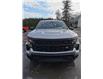 2022 Chevrolet Silverado 1500 Work Truck (Stk: 22184) in Green Valley - Image 2 of 18