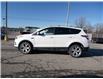 2017 Ford Escape Titanium (Stk: M23048A) in Mississauga - Image 3 of 25