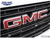 2023 GMC Sierra 1500 Elevation (Stk: 230145) in Windsor - Image 9 of 27