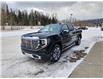 2023 GMC Sierra 1500 Denali (Stk: PG108282) in Fernie - Image 4 of 10