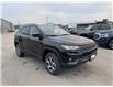2022 Jeep Compass Trailhawk (Stk: 22-242) in Ingersoll - Image 3 of 20