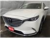 2019 Mazda CX-9 Signature (Stk: IU3029) in Thunder Bay - Image 3 of 24