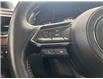 2019 Mazda CX-9 Signature (Stk: IU3029) in Thunder Bay - Image 14 of 24
