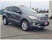 2019 Ford Escape SE (Stk: P3062) in Bowmanville - Image 4 of 28