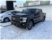 2019 Ford F-150 XLT (Stk: WB0118) in Edmonton - Image 3 of 26