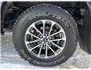 2019 Ford F-150 XLT (Stk: WB0118) in Edmonton - Image 9 of 26