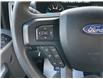 2017 Ford F-150 XLT (Stk: 238-9203A) in Chilliwack - Image 11 of 17
