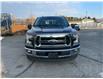 2017 Ford F-150 XLT (Stk: 238-9203A) in Chilliwack - Image 2 of 17