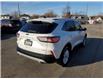 2020 Ford Escape SE (Stk: BS1125) in Welland - Image 5 of 24