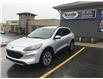 2020 Ford Escape Titanium Hybrid (Stk: PA6835-220) in St. John’s - Image 2 of 23