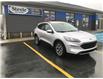 2020 Ford Escape Titanium Hybrid (Stk: PA6835-220) in St. John’s - Image 8 of 23