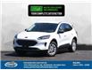 2022 Ford Escape SE (Stk: ES20699) in Windsor - Image 1 of 15