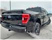2023 Ford F-150 XLT (Stk: 23F7439) in Mississauga - Image 5 of 29