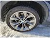 2017 BMW X3 xDrive28i in Sunny Corner - Image 8 of 18