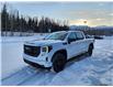 2023 GMC Sierra 1500 Elevation (Stk: PZ105481) in Fernie - Image 4 of 10