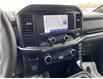 2022 Ford F-150 XLT (Stk: 8628) in Roblin - Image 16 of 24