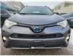 2016 Toyota RAV4 Hybrid Limited in Concord - Image 7 of 26